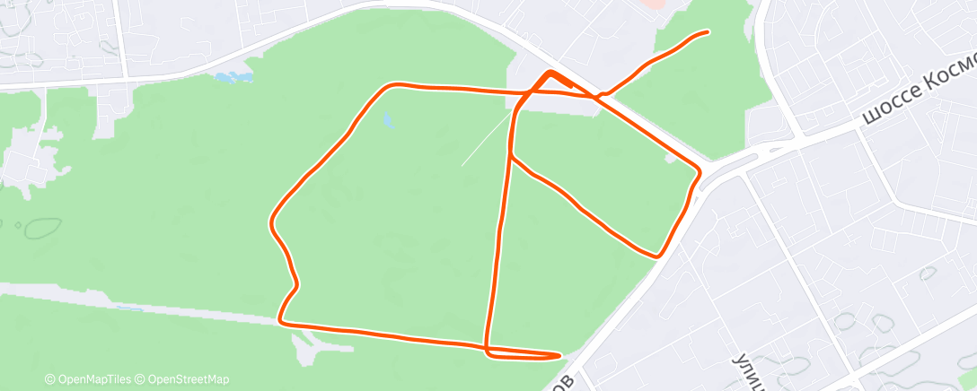 Map of the activity, Morning Run