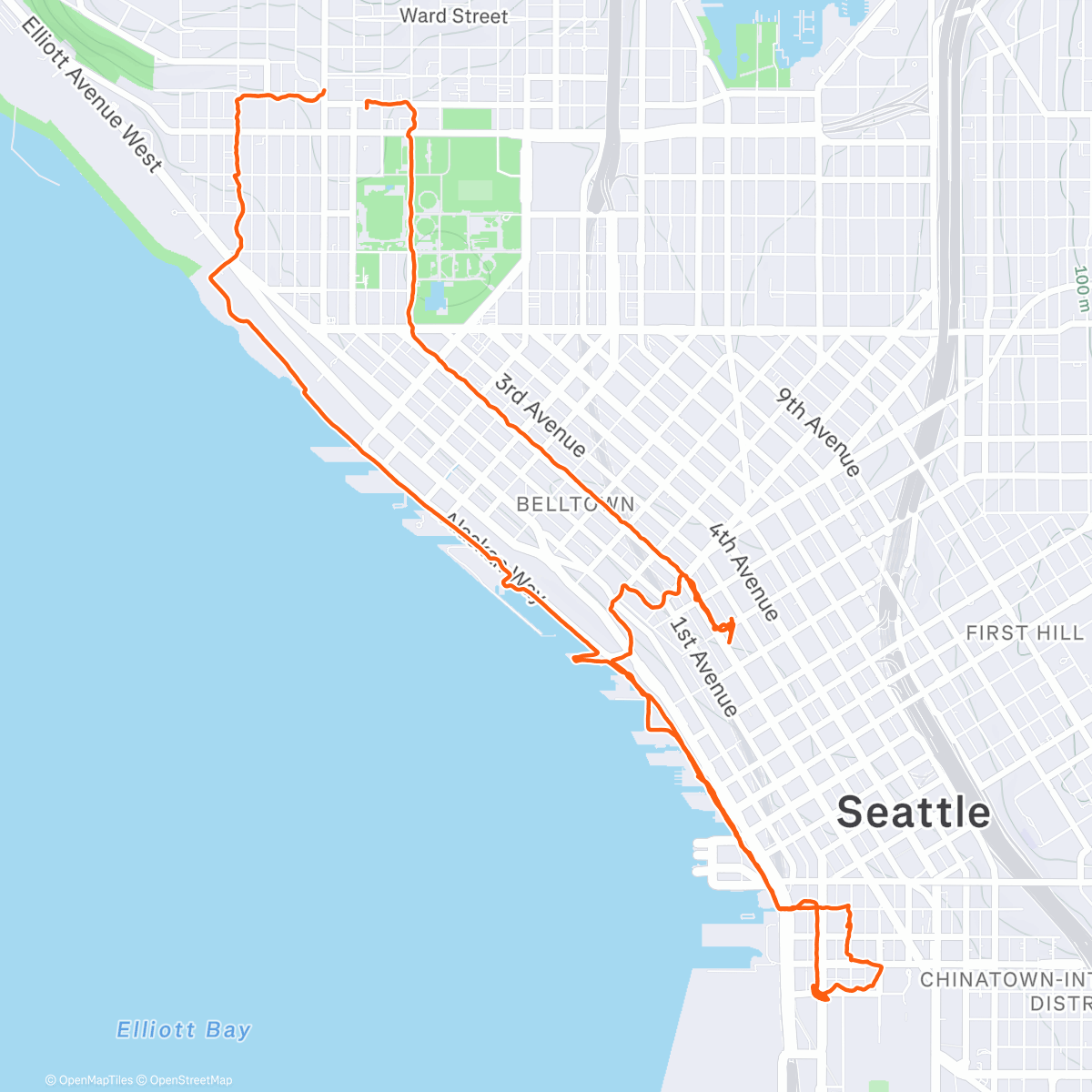 Map of the activity, evening walk