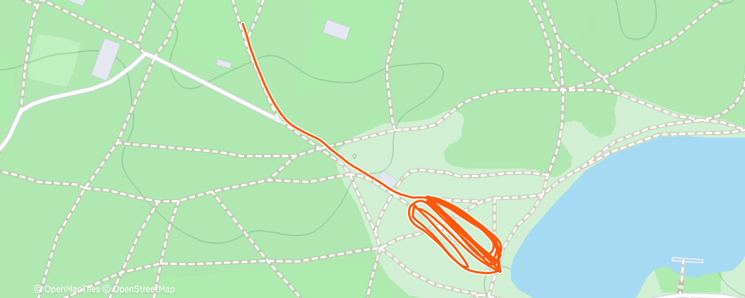 Map of the activity, Evening Workout