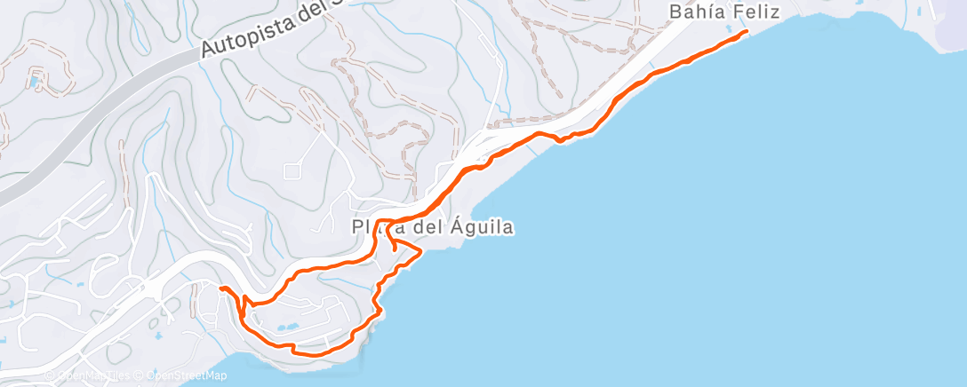 Map of the activity, Morning Walk
