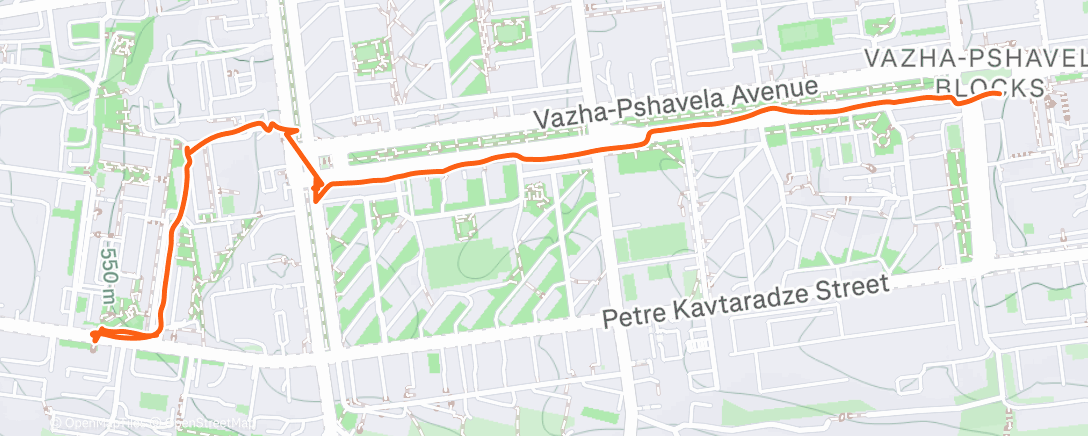 Map of the activity, Дневная прогулка