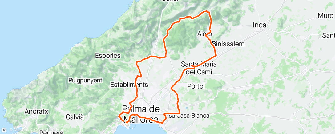 Map of the activity, Morning spin