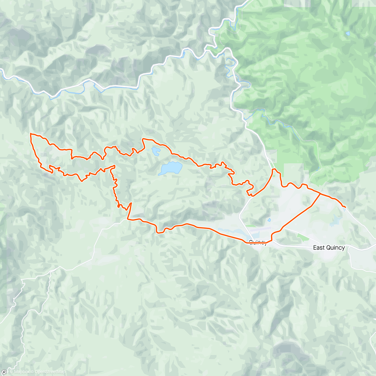 Map of the activity, Long way to Pineleaf