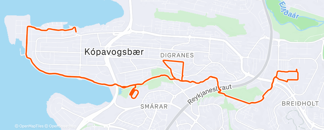 Карта физической активности (Evening Run)