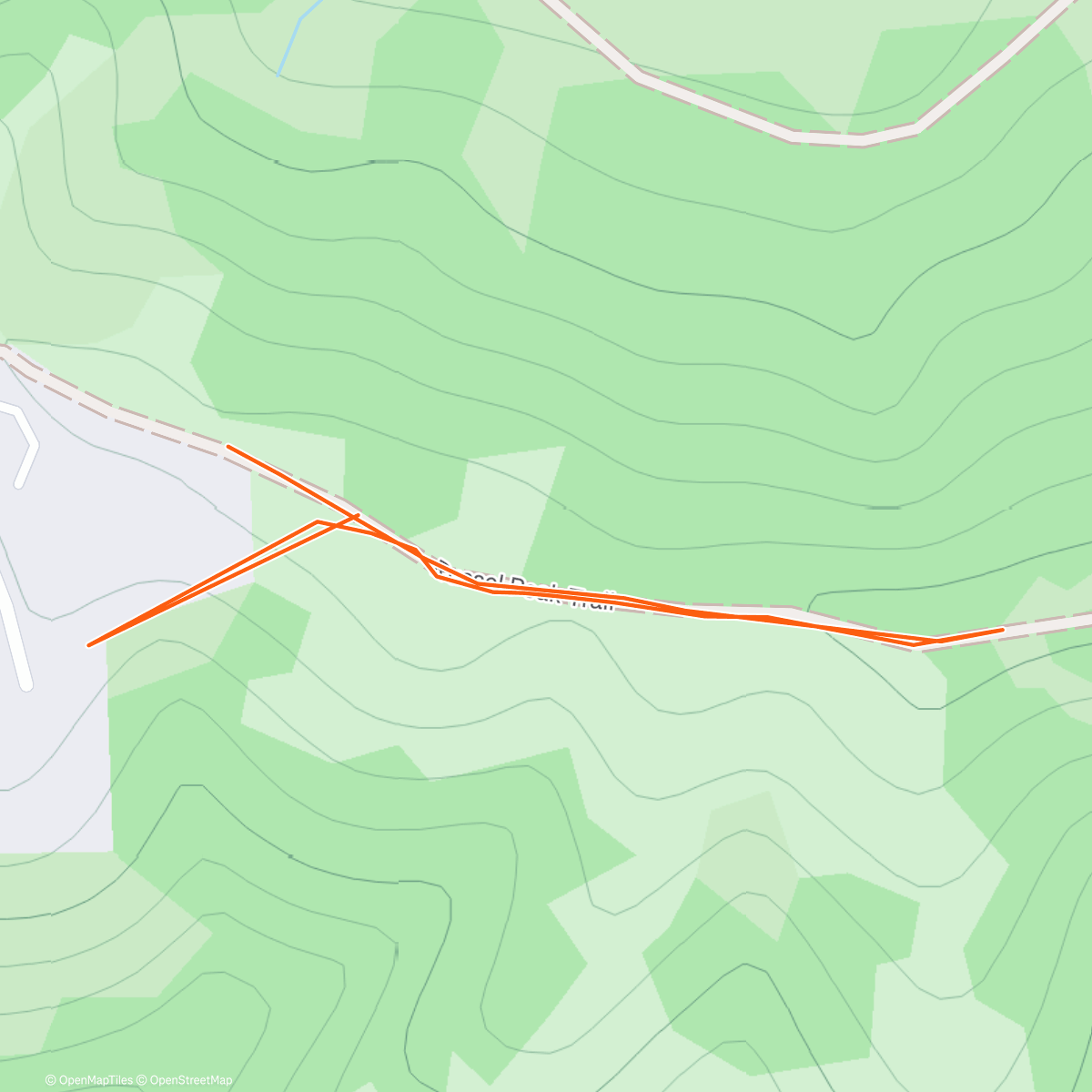 Map of the activity, Benjamin  took Coda for a walk with her Fi Smart Collar