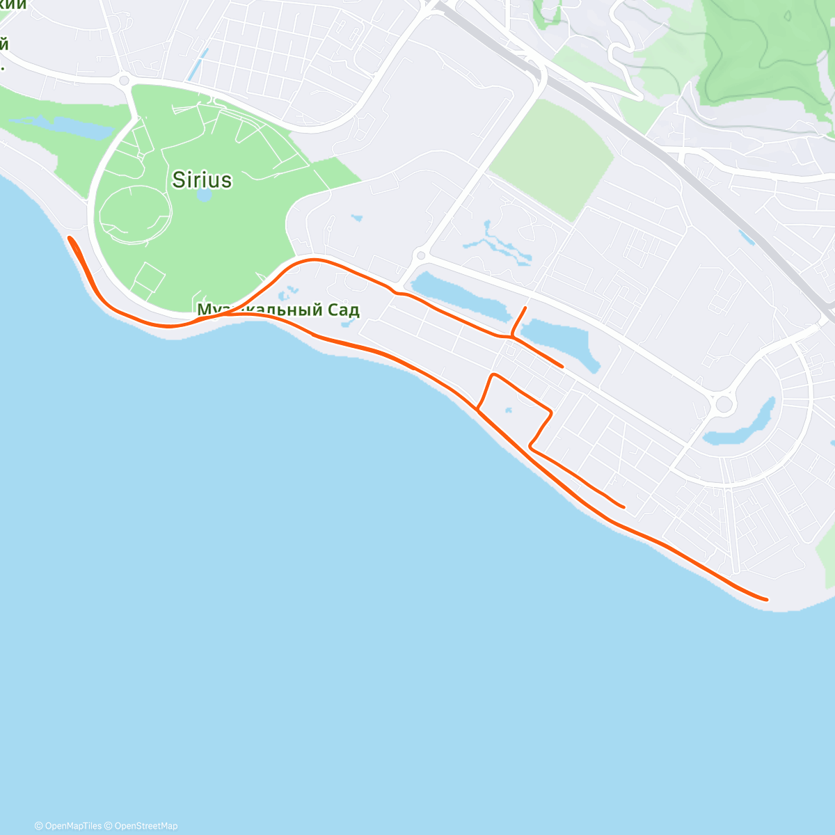 Карта физической активности (Morning Run)