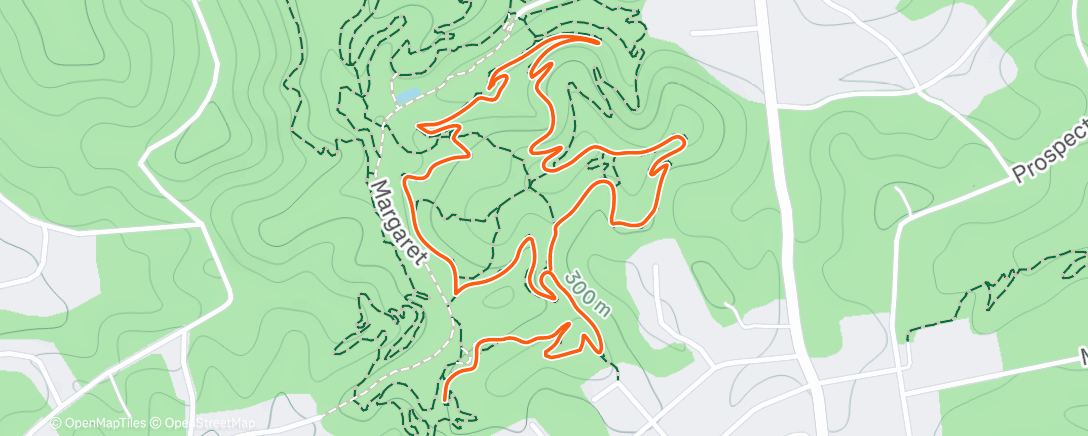 Map of the activity, Afternoon Walk