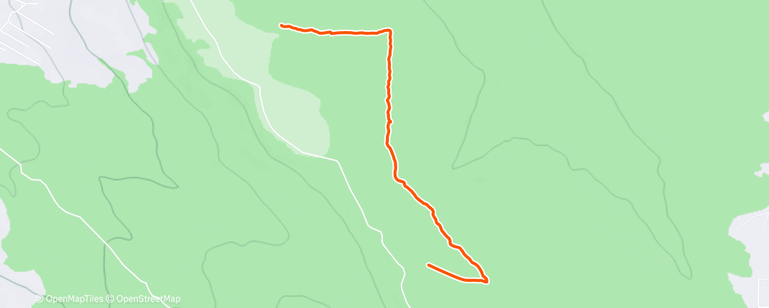 Карта физической активности (Morning Run)