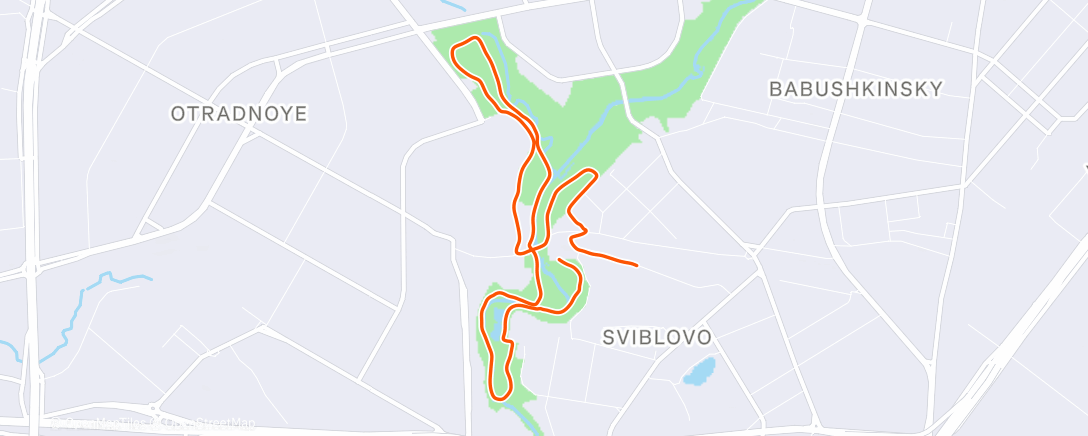 Карта физической активности (Дневной забег)