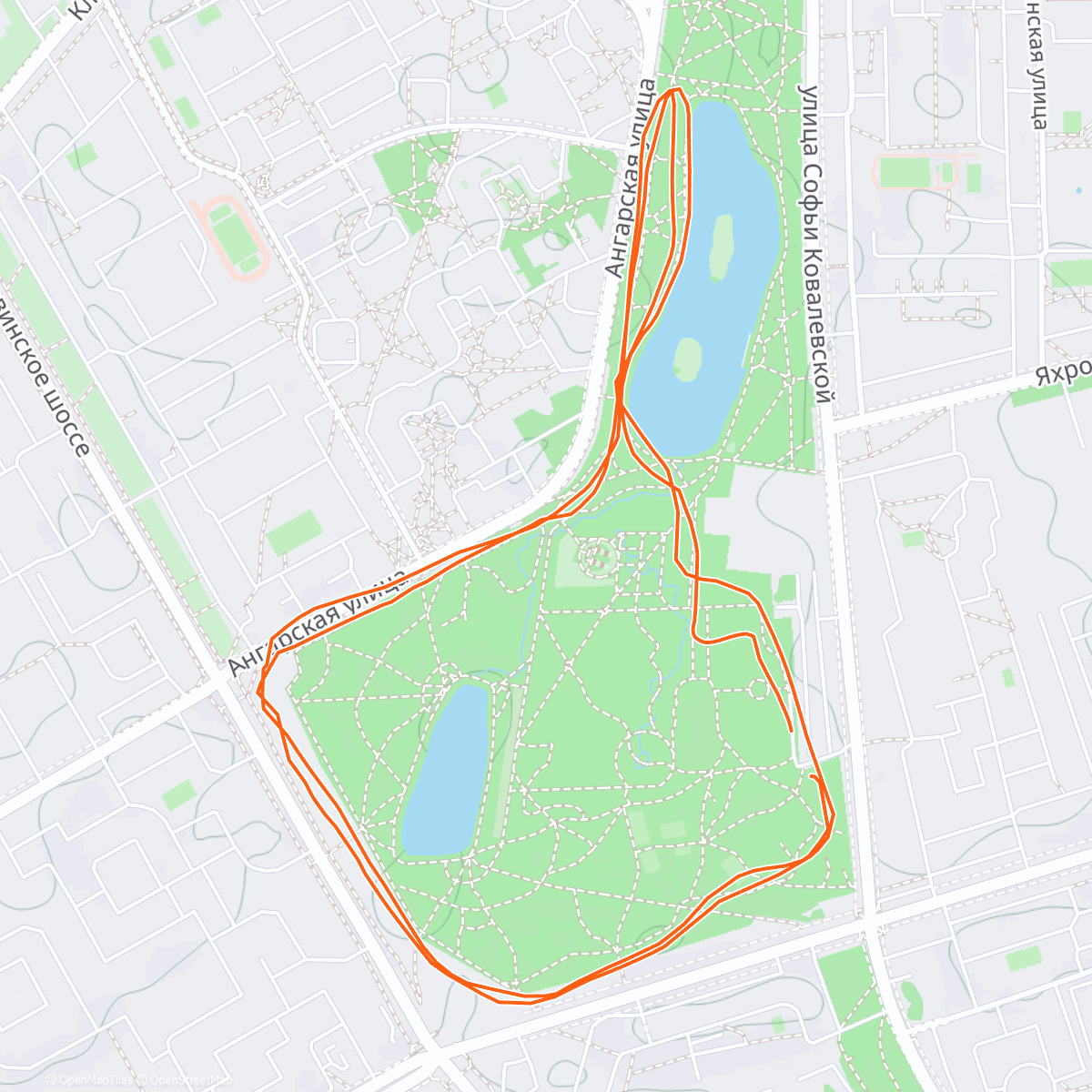 Map of the activity, Morning С95