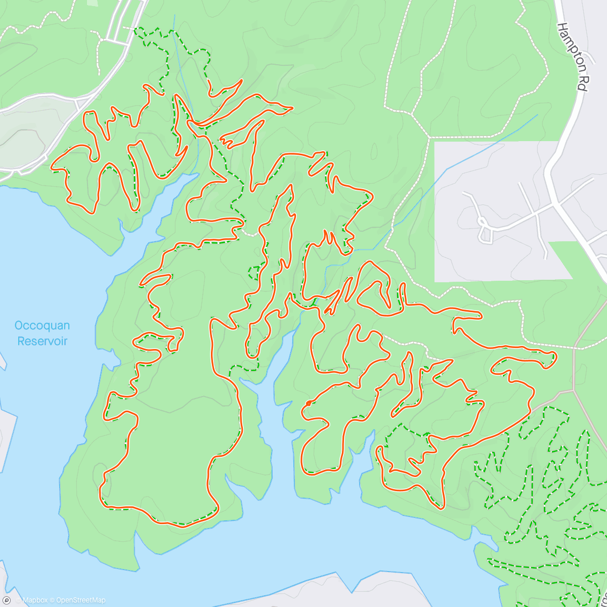 Map of the activity, Here kitty, kitty!! 🦝