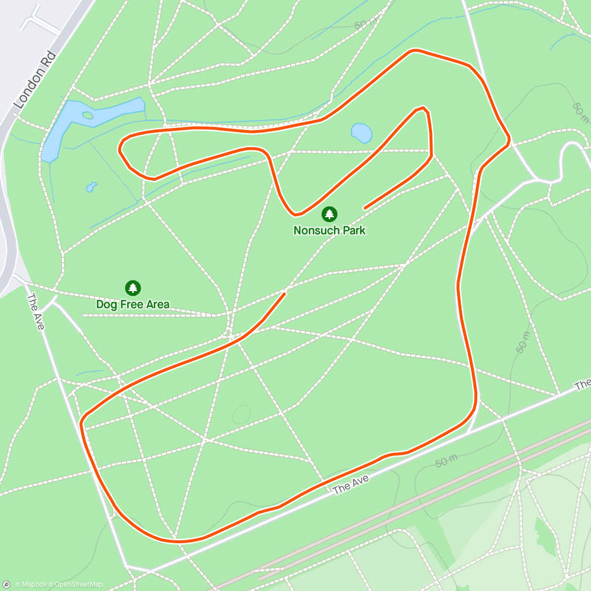 Mapa de la actividad, Nonsuch parkrun