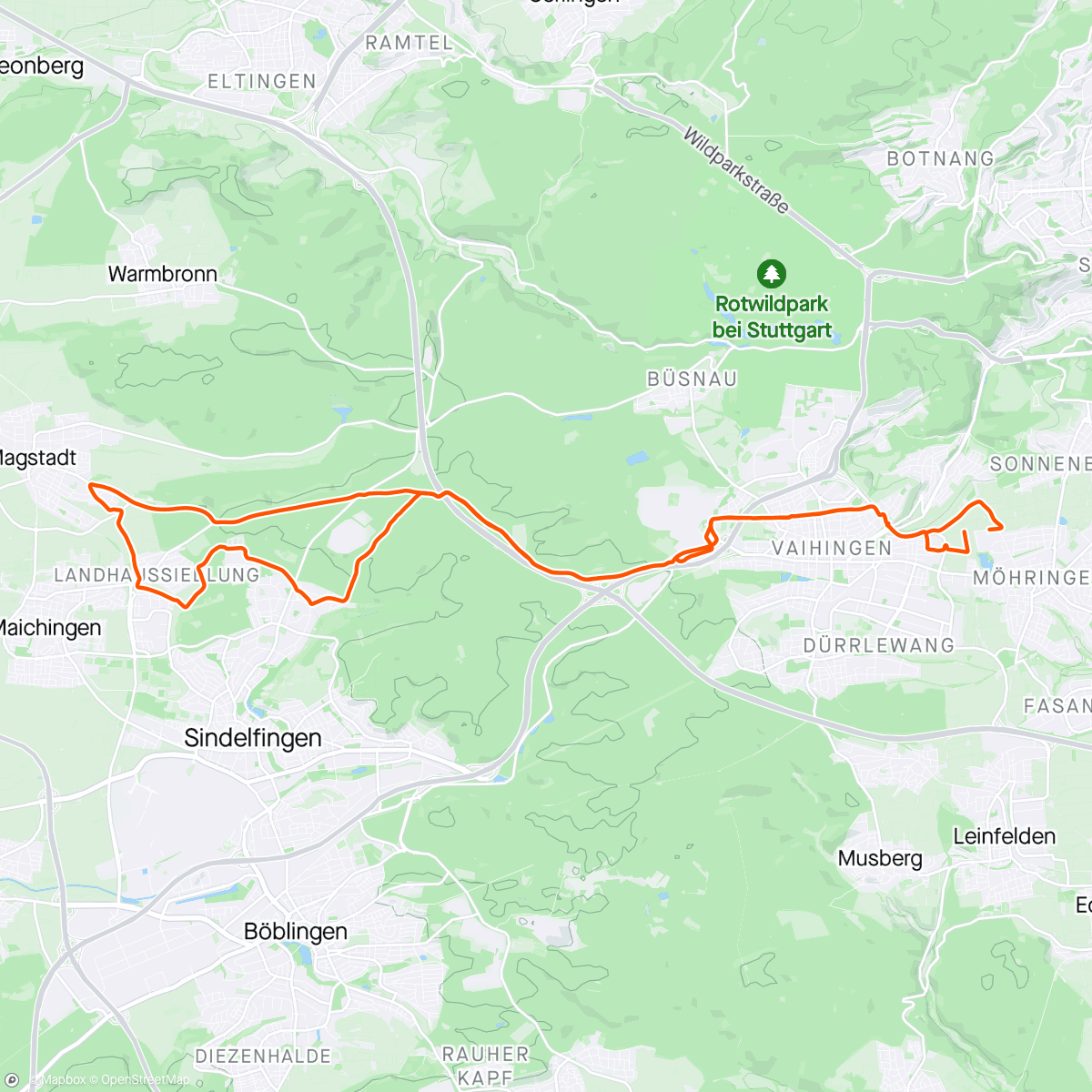 Mapa de la actividad (Magstadt Ride with L)