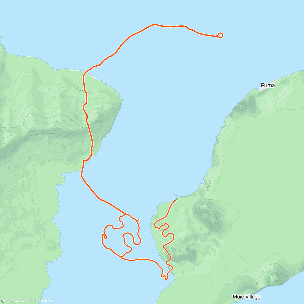 Карта физической активности (Zwift - Climb Portal: Crow Road at 100% Elevation in Watopia)
