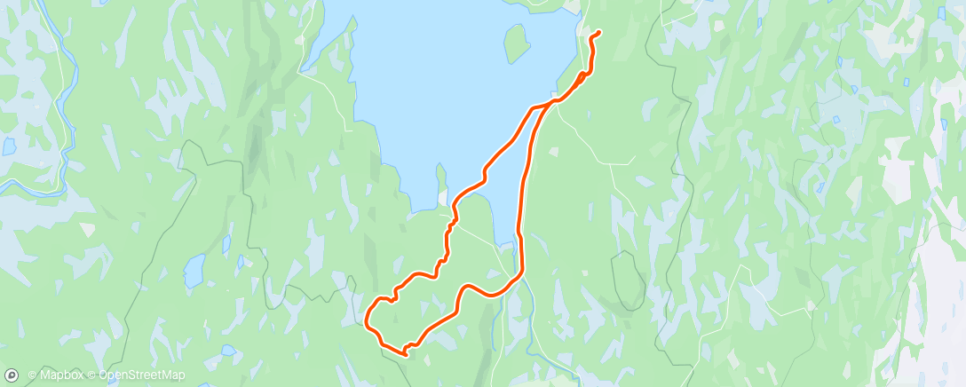 Map of the activity, Utforskning i skogen