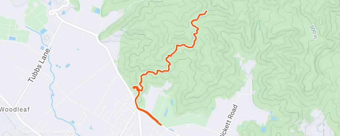 Map of the activity, Morning Run