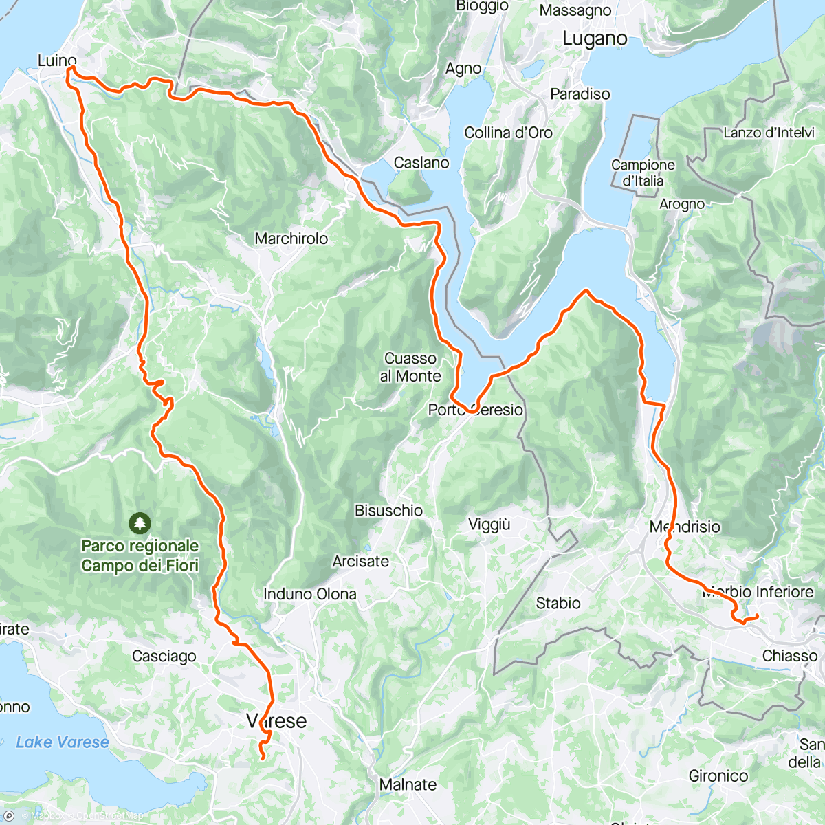 Map of the activity, Metto solo felce azzurra nella borraccia