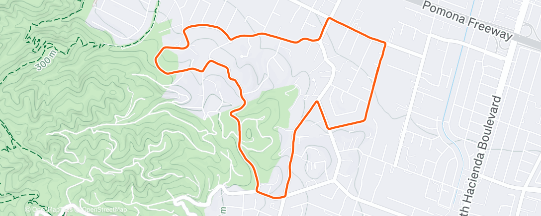 Map of the activity, Morning Run