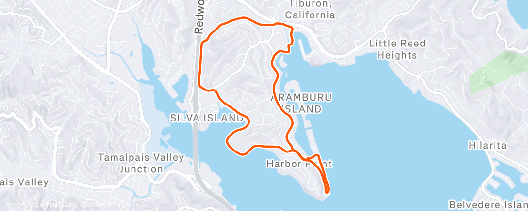 Map of the activity, Local loop