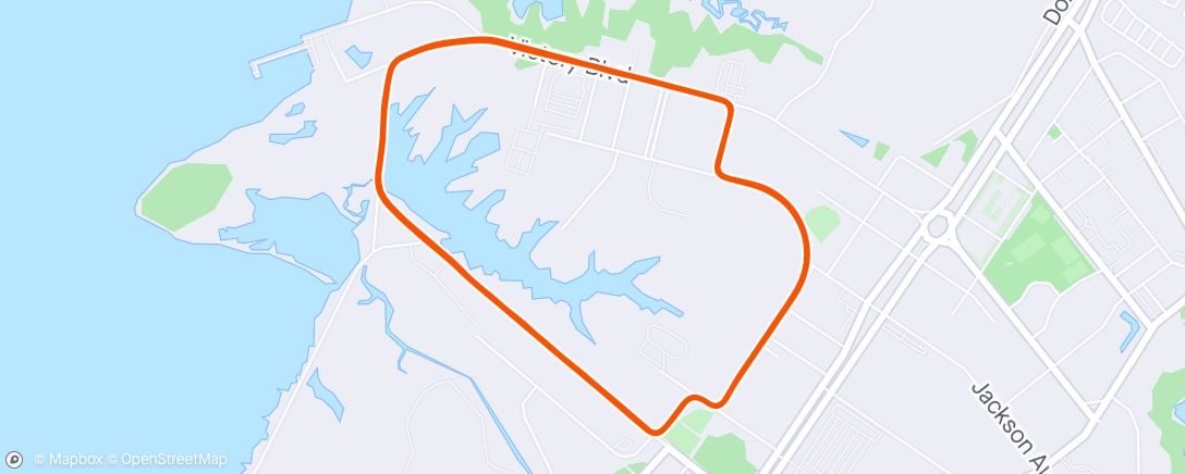 Map of the activity, NN circuit race - 12th