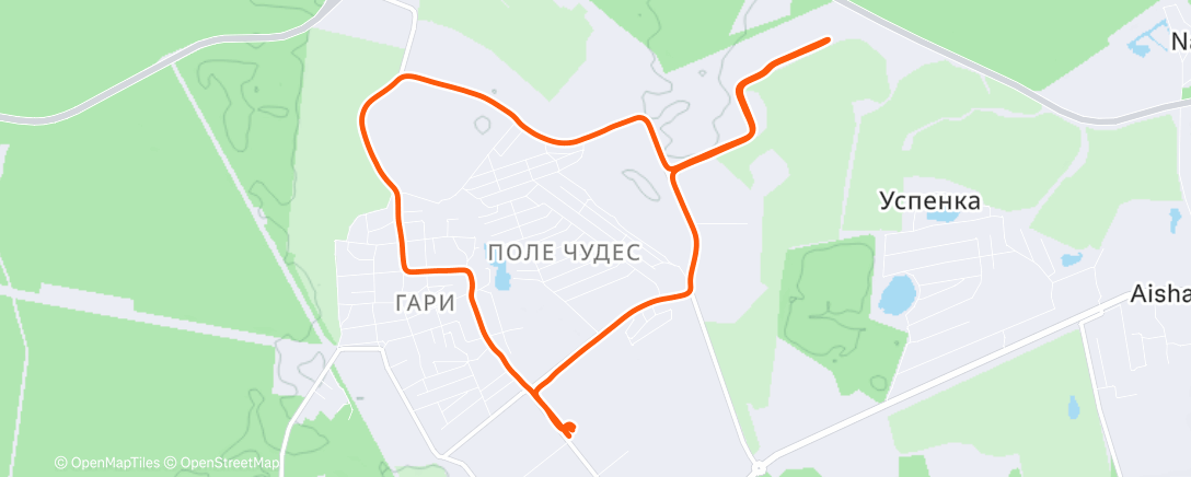 Карта физической активности (Кросс)