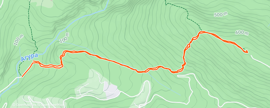 Карта физической активности (Утренний забег)
