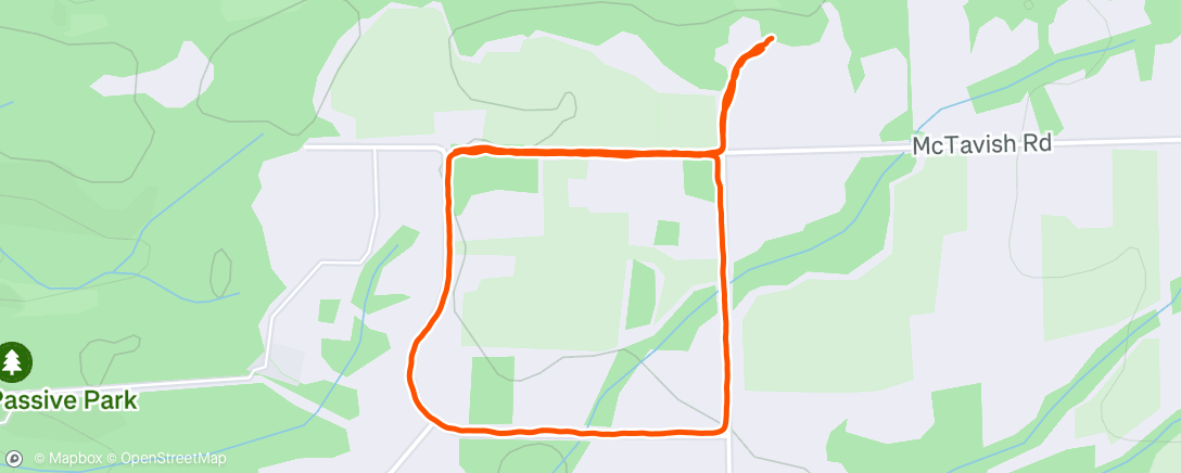 Map of the activity, Brain rest with David