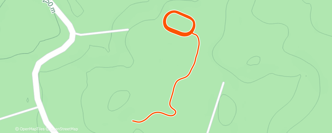 Map of the activity, Carrera vespertina