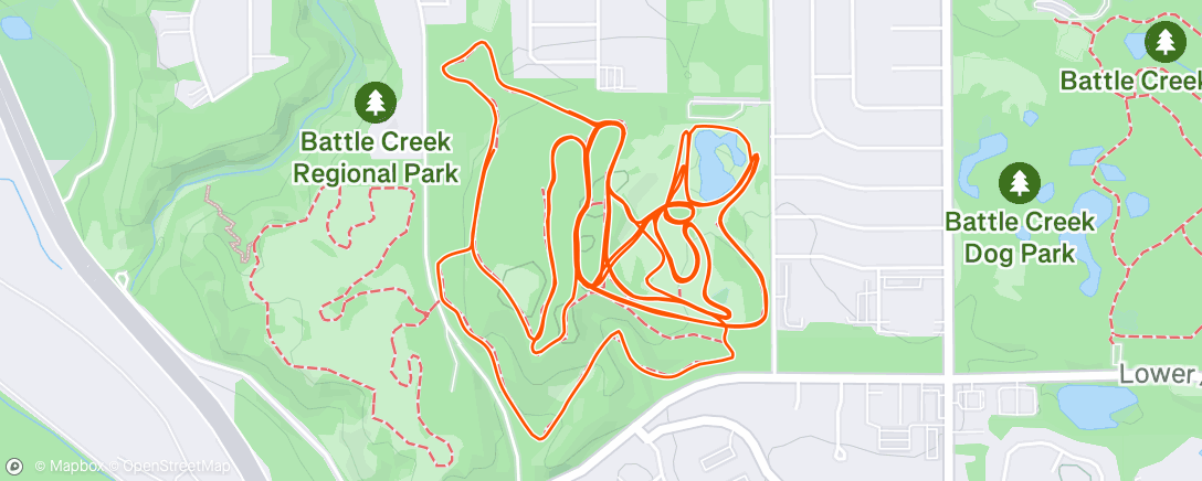 Map of the activity, Gingerly