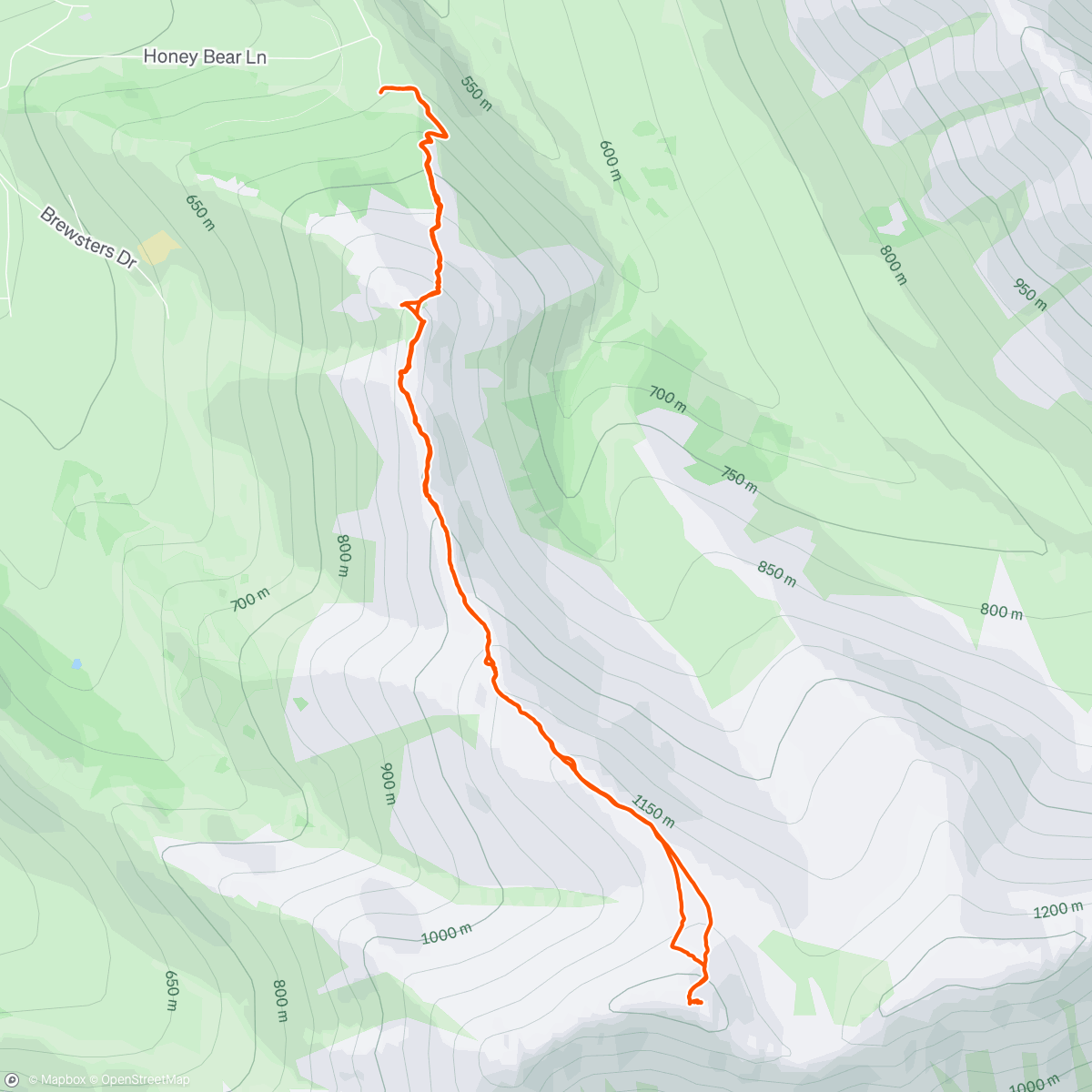 Map of the activity, Morning Hike