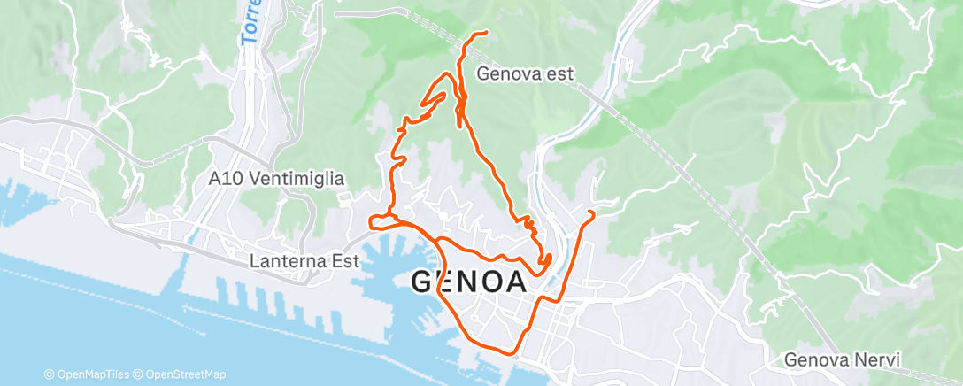 Карта физической активности (Pedalata mattutina)