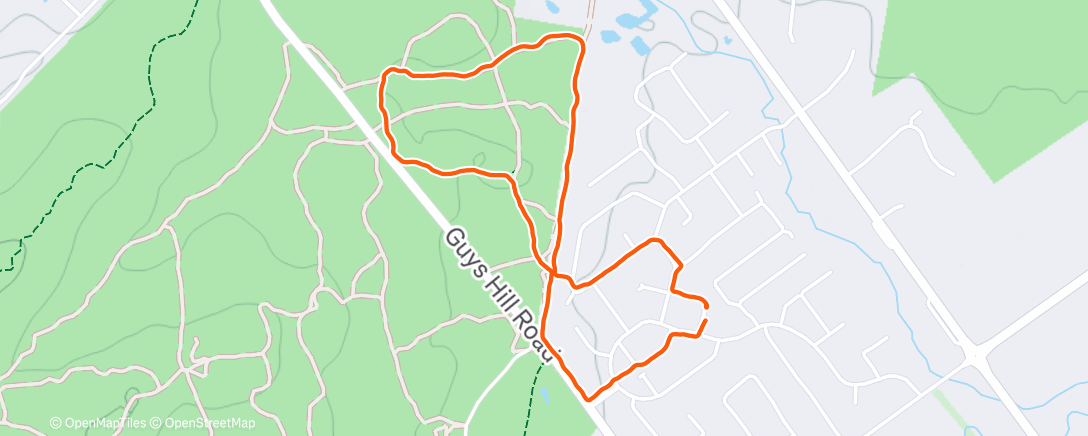 Карта физической активности (Evening Walk)