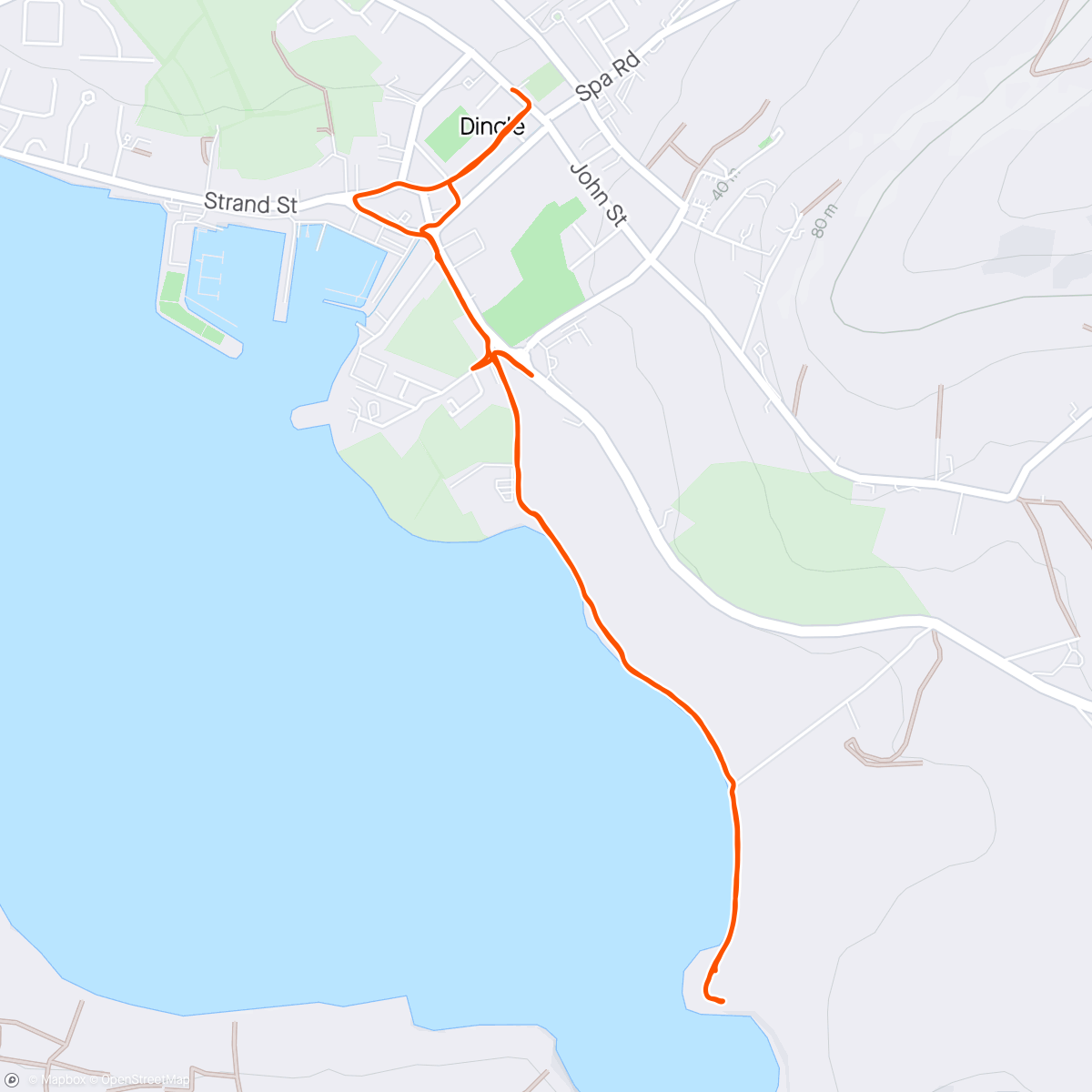 Карта физической активности (Dingle bay trail)
