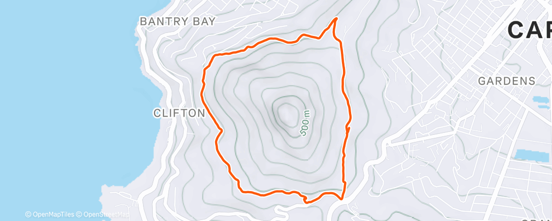 Карта физической активности (Summer Loop)