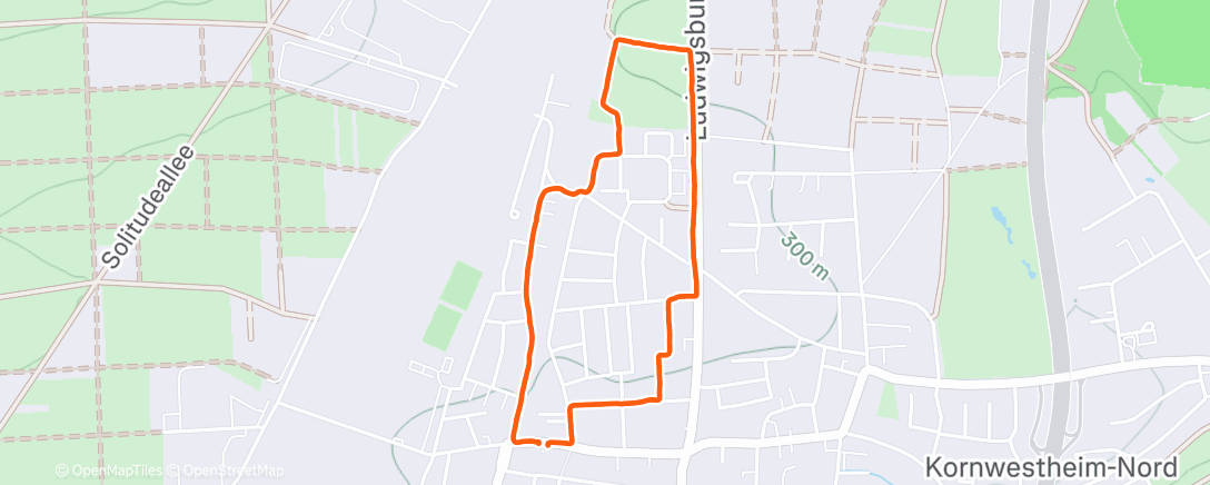 Map of the activity, Spaziergang am Nachmittag