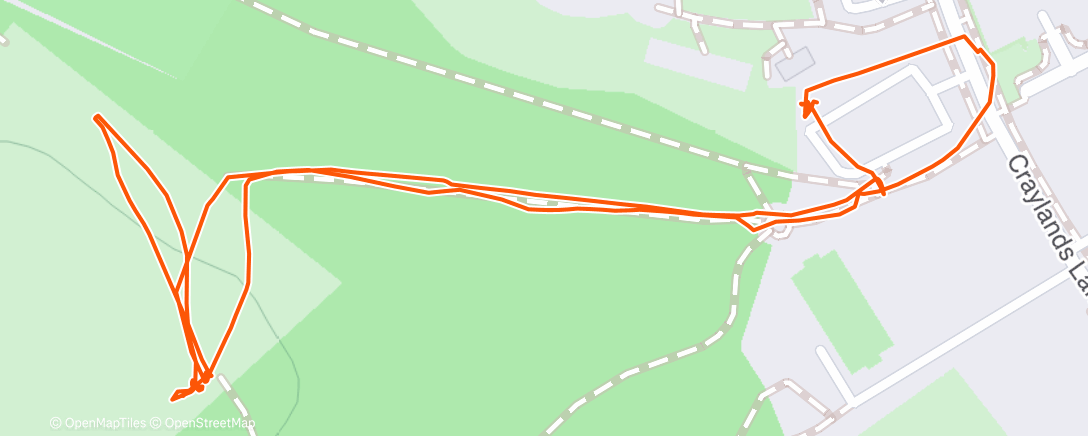 Карта физической активности (Morning Walk)