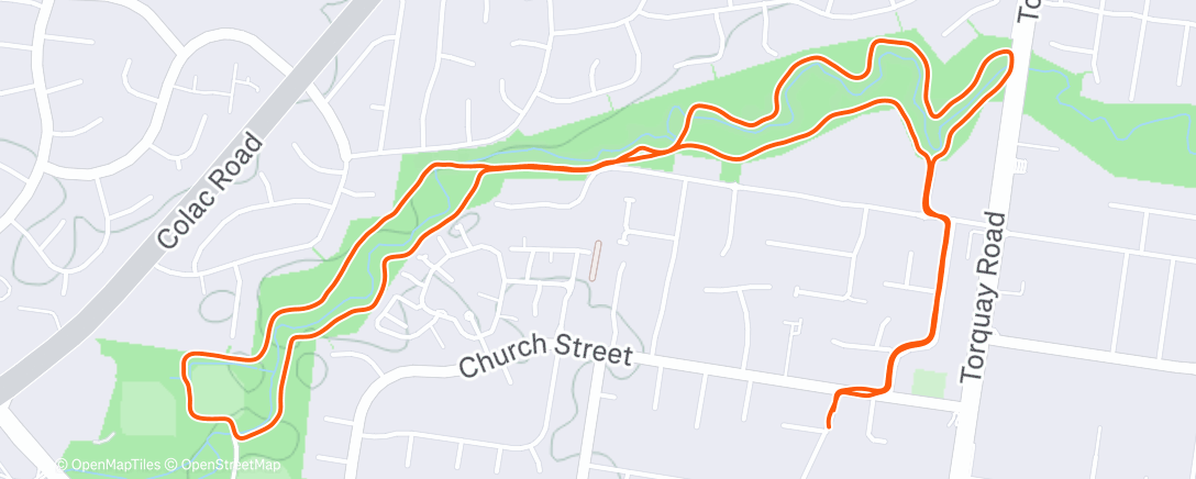 Карта физической активности (Morning Run)