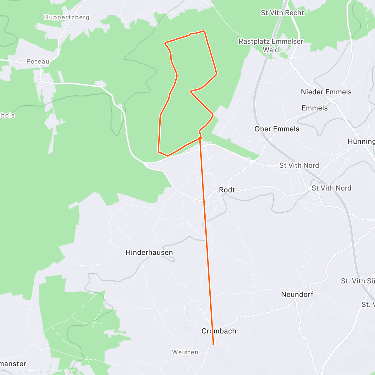 Карта физической активности (⛅ Sankt-Vith, Wallonien - Last hike of 2025 and a little snow 💪🥾❄️ ⛄️ 🥶)