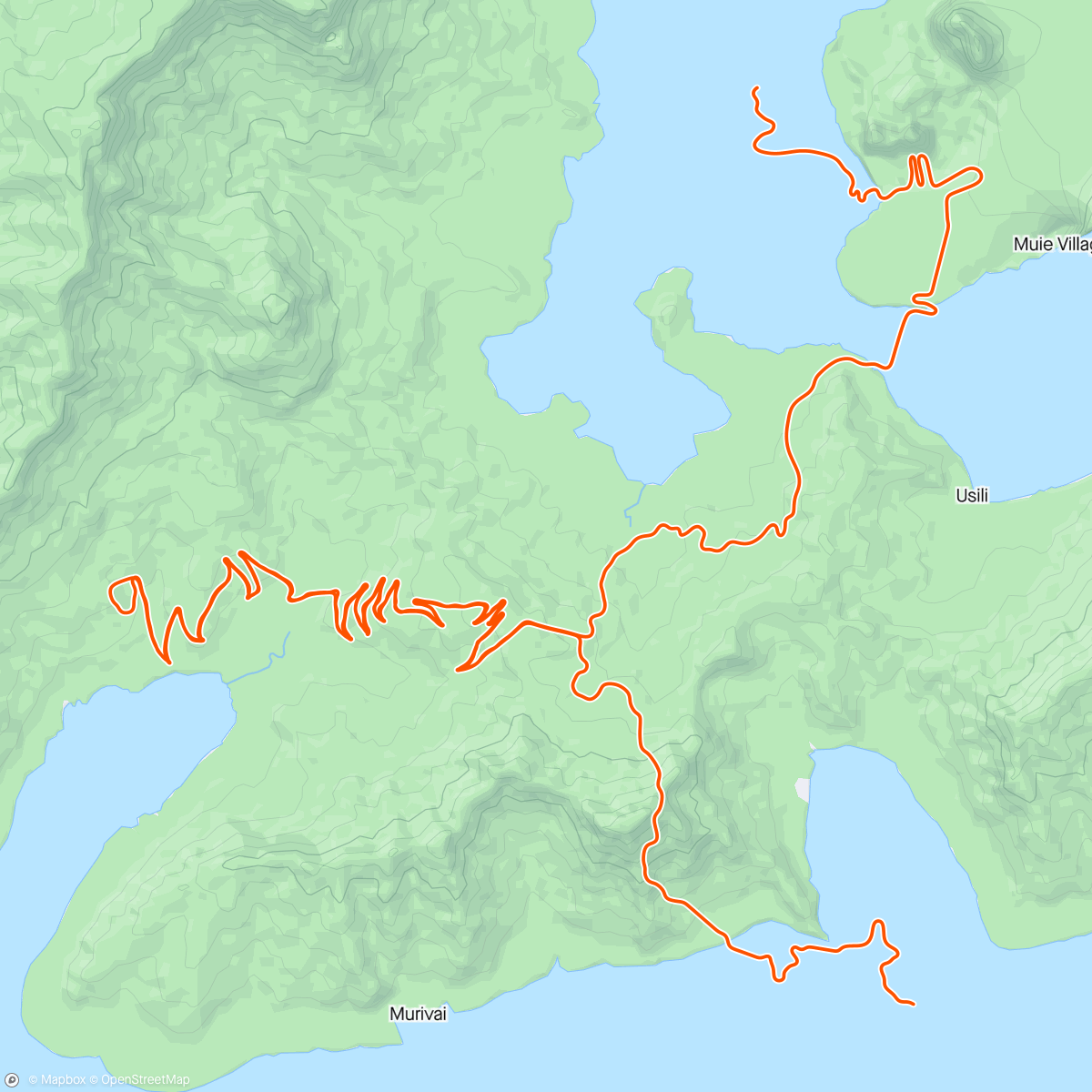 Map of the activity, Zwift - Alpe Pacing
