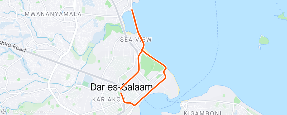 Map of the activity, Dar City Marathon 2024🌟🧩