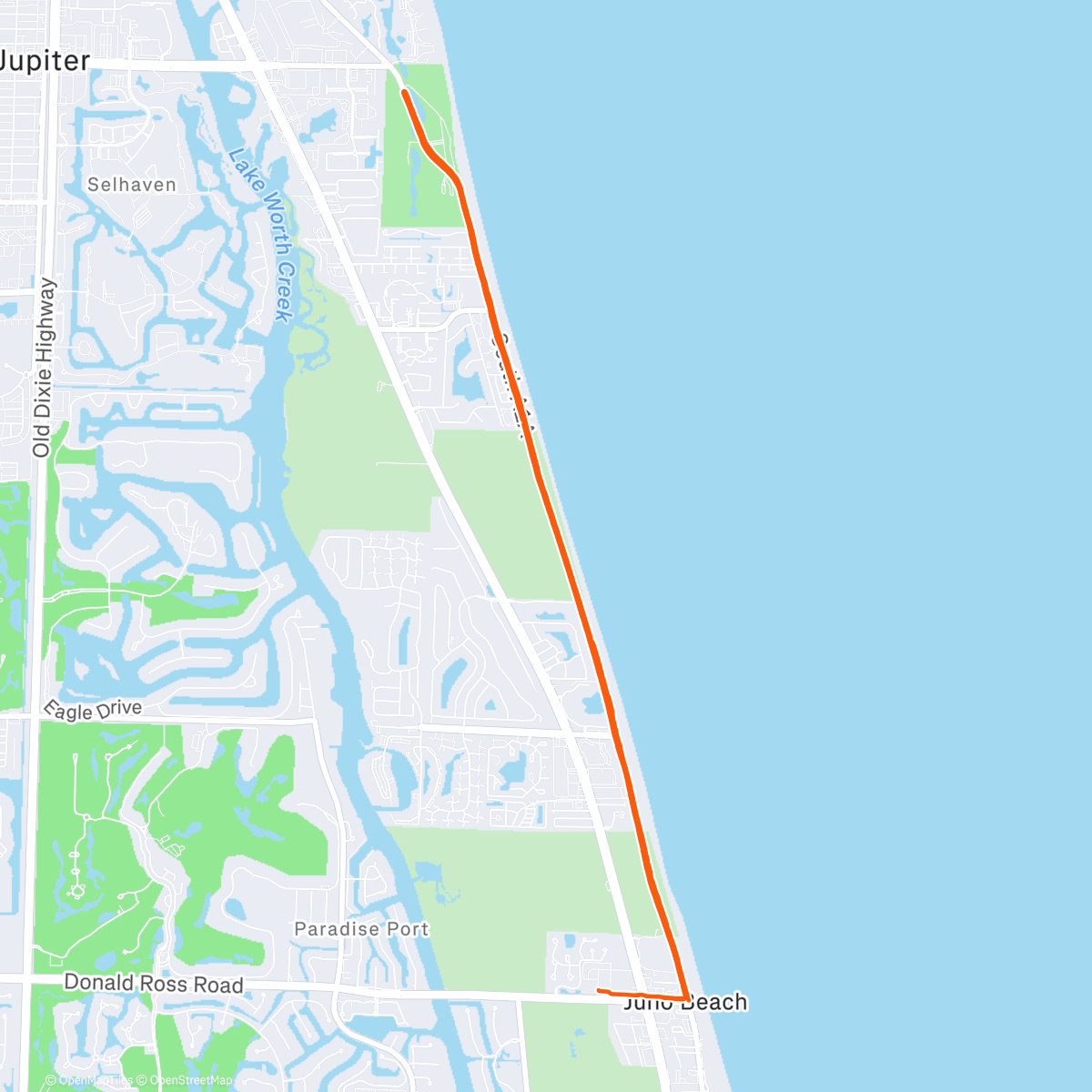 Карта физической активности (Morning Run)