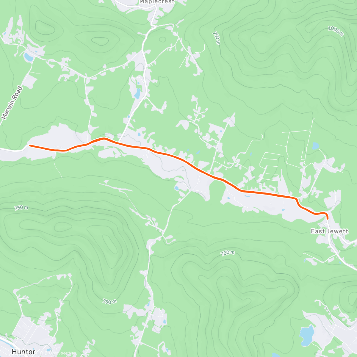 Mappa dell'attività 🐄