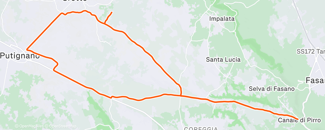 Карта физической активности (Scarico 💆‍♂️)