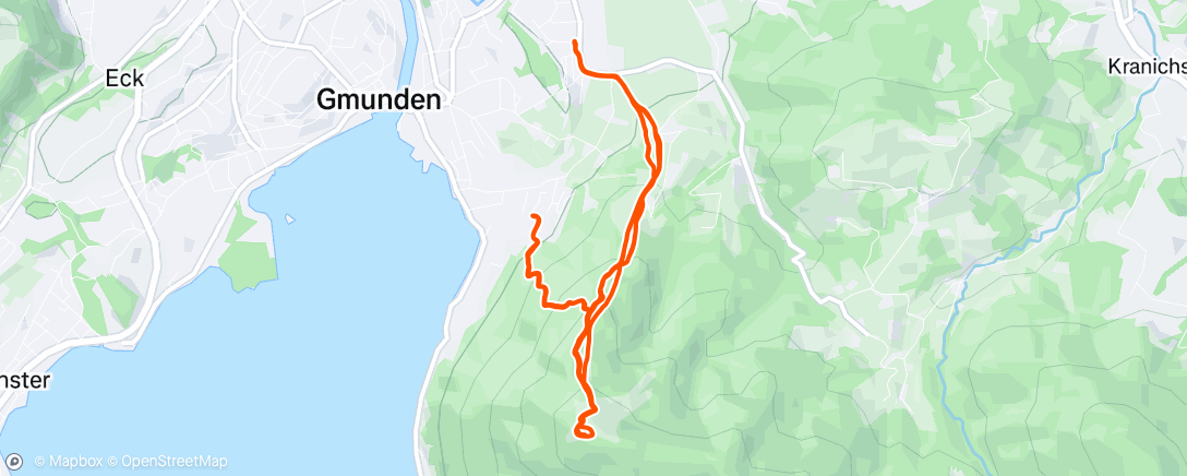 Карта физической активности (Grünberg)