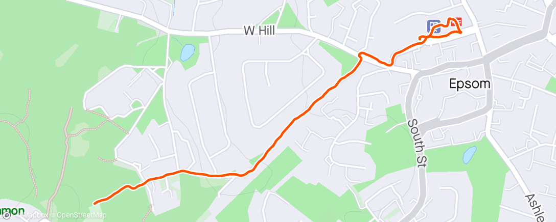 Map of the activity, Thursday walk to Epsom station