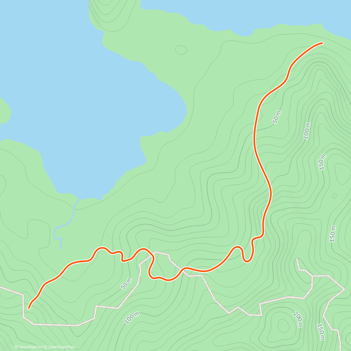 Map of the activity, Zwift  Warm-up on Jungle Circuit in Watopia