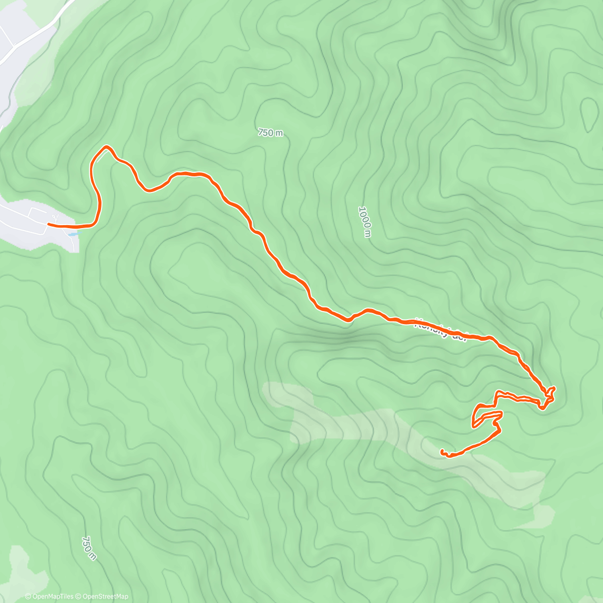 Карта физической активности (Morning Trail Run 🐐)