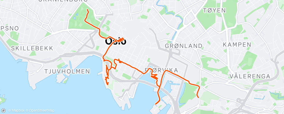 Map of the activity, Afternoon Walk