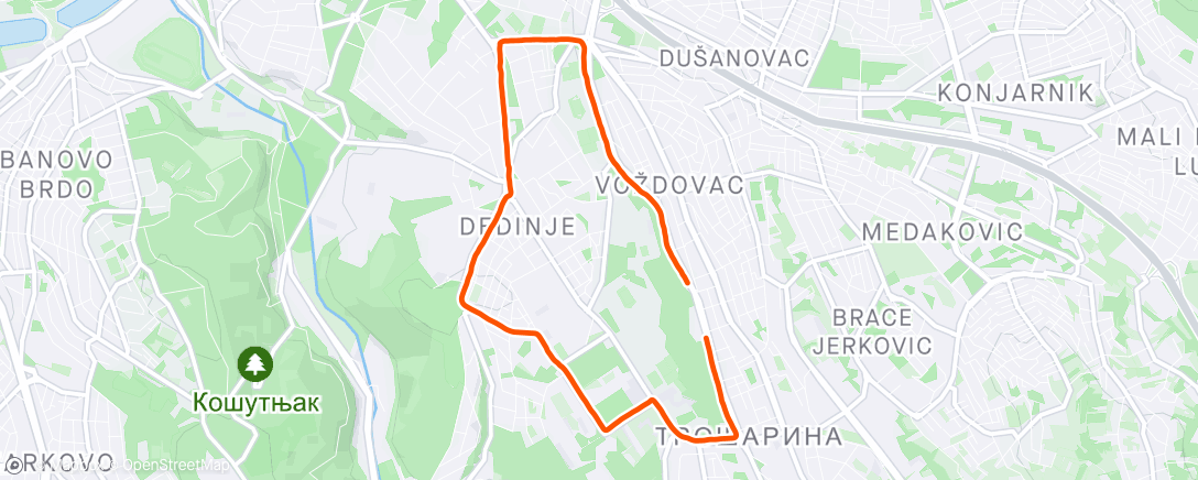 Carte de l'activité Evening Run