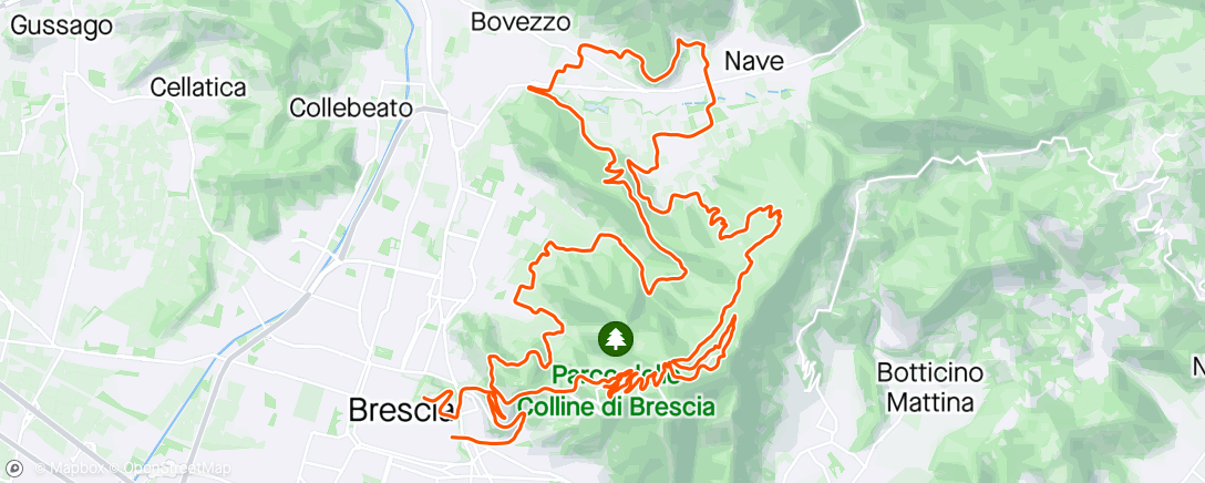 Map of the activity, GF Città di Brescia